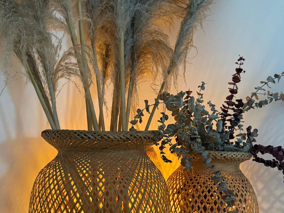 Oasis Massein Laureles